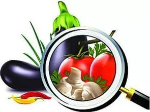 新規(guī)來了！5月1日起，平陽這樣管路邊攤玩具